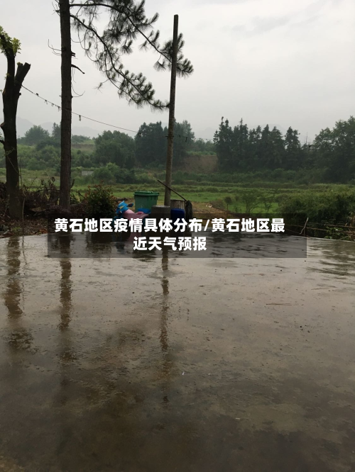 黄石地区疫情具体分布/黄石地区最近天气预报