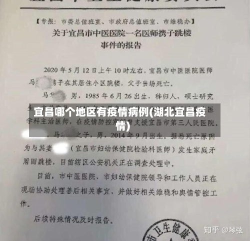宜昌哪个地区有疫情病例(湖北宜昌疫情)-第2张图片