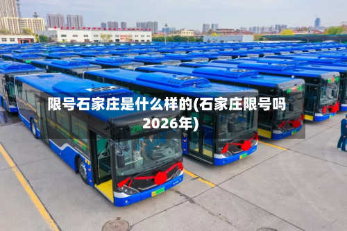限号石家庄是什么样的(石家庄限号吗2026年)