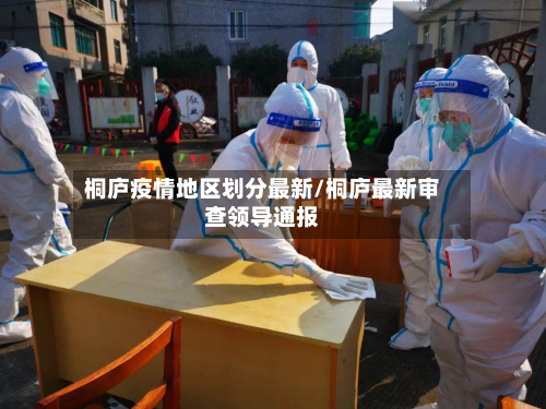 桐庐疫情地区划分最新/桐庐最新审查领导通报-第3张图片