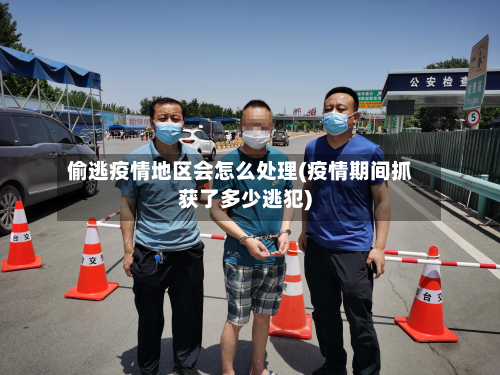 偷逃疫情地区会怎么处理(疫情期间抓获了多少逃犯)-第3张图片