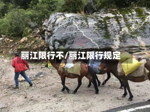 丽江限行不/丽江限行规定