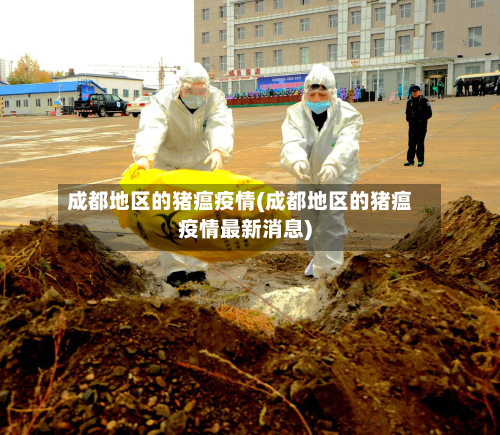 成都地区的猪瘟疫情(成都地区的猪瘟疫情最新消息)-第2张图片