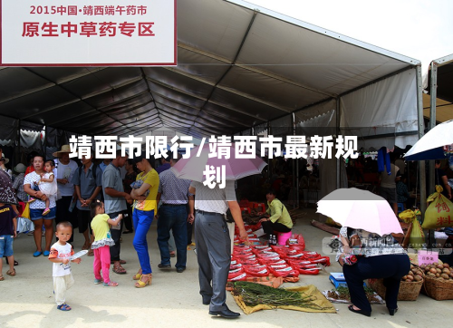 靖西市限行/靖西市最新规划-第2张图片