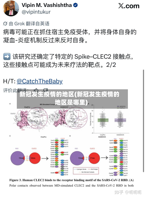 新冠发生疫情的地区(新冠发生疫情的地区是哪里)-第3张图片