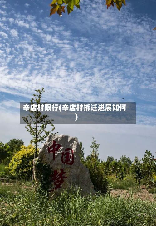 辛店村限行(辛店村拆迁进展如何)