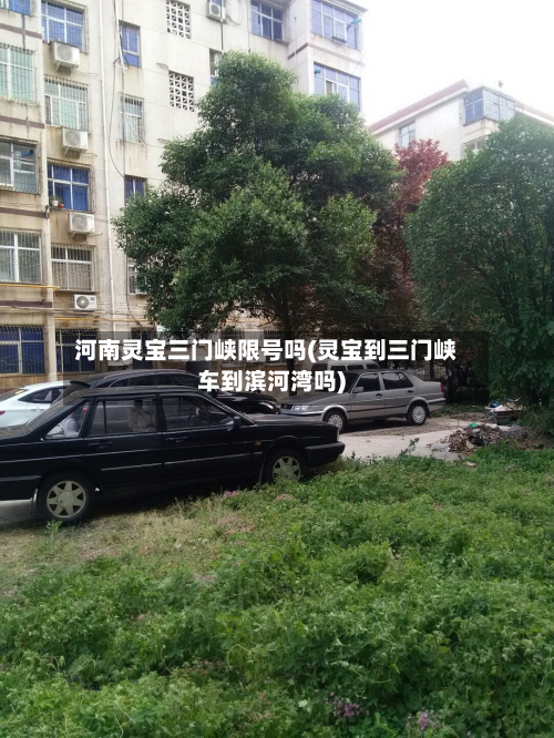 河南灵宝三门峡限号吗(灵宝到三门峡车到滨河湾吗)