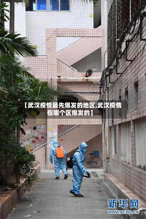 【武汉疫情最先爆发的地区,武汉疫情在哪个区爆发的】