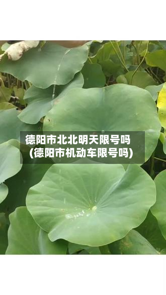 德阳市北北明天限号吗(德阳市机动车限号吗)