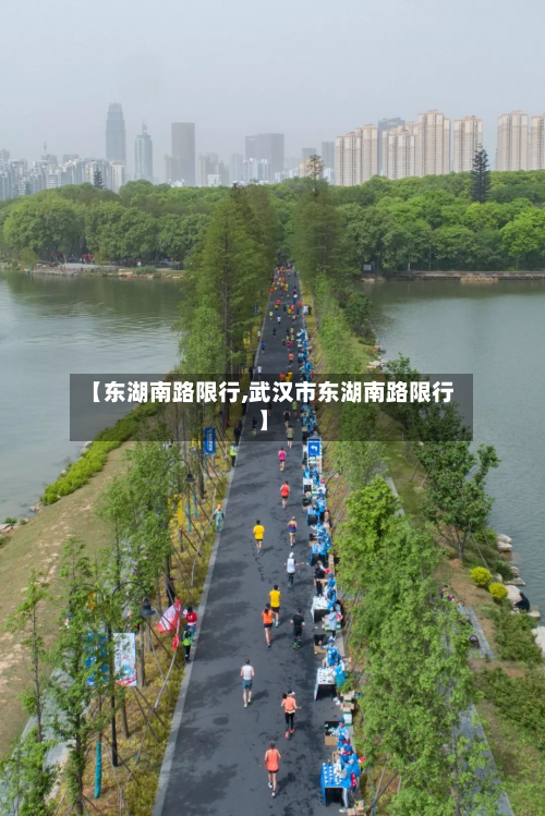 【东湖南路限行,武汉市东湖南路限行】