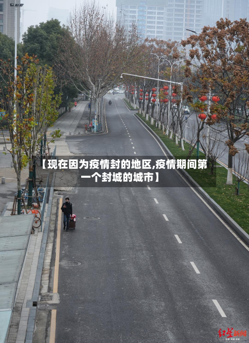 【现在因为疫情封的地区,疫情期间第一个封城的城市】-第2张图片