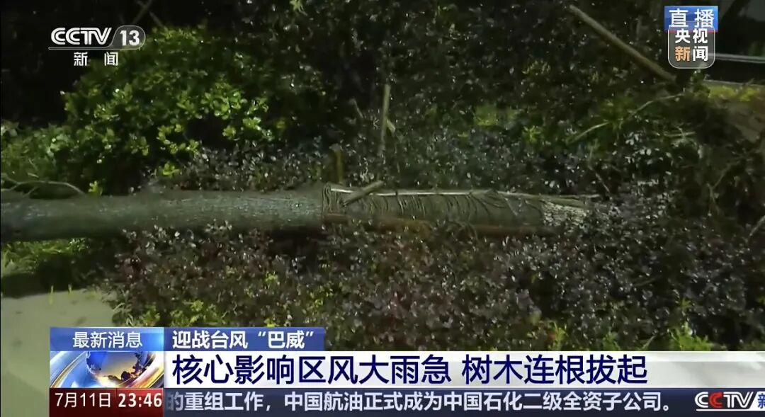 “巴威”最新路径公布！0时在浙江乐清二次登陆，5时减弱为强热带风暴，中心最大风力11级